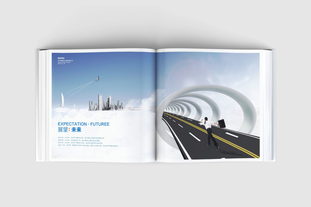 新和县画册设计